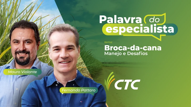 Novo episódio do Palavra do Especialista aborda estratégias para o controle da broca-da-cana